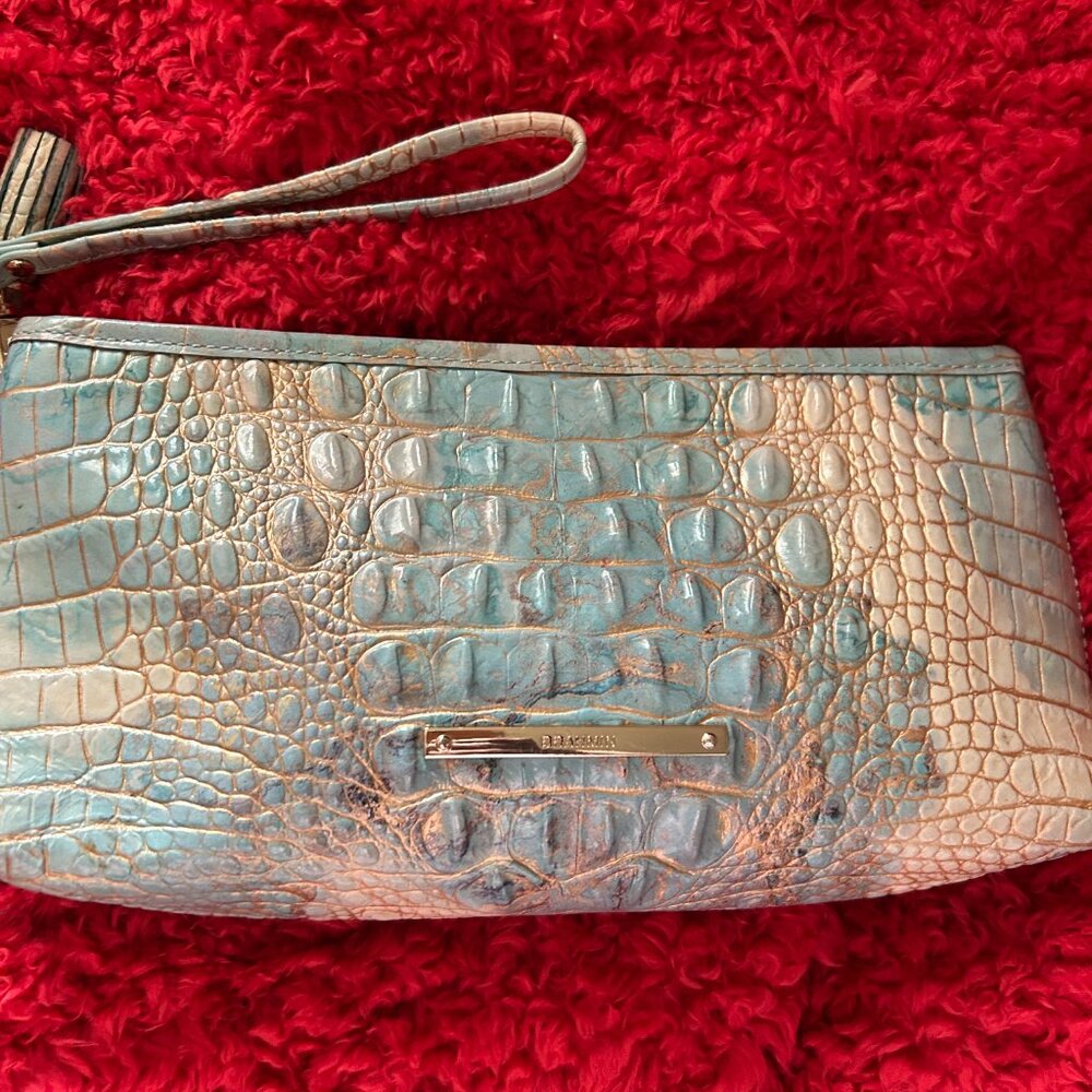 Beautiful Brahmin Wristlet